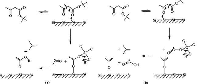 Figure 9. Proposed key surface reaction paths for tBAA adsorbed on Si(100) through bonding via (a) the carboxylic keto oxygen and (b) the aceto oxygen in its diketo moiety