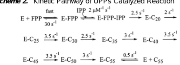Figure 5. FPP and UPP release rate constants measured from stopped- stopped-flow experiments