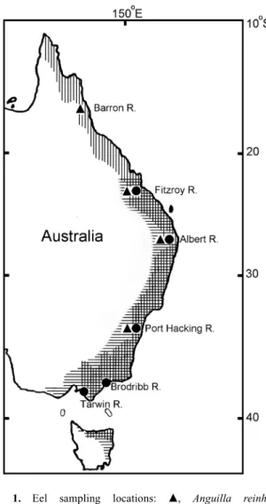 Fig. 1. Eel sampling locations: 䉱,  Anguilla  reinhardtii;
