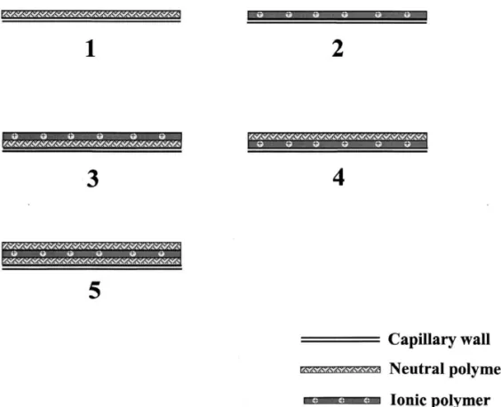 Fig. 1. Schematic of SLN (1), SLI (2), DLNI (3), DLIN (4) and TLNIN (5) capillaries.
