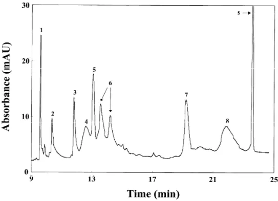 Fig. 5. On-line concentration of eight proteins in the presence of a short plug of 50 mM phosphate solution, apparent pH 12.0, at 20 kV.