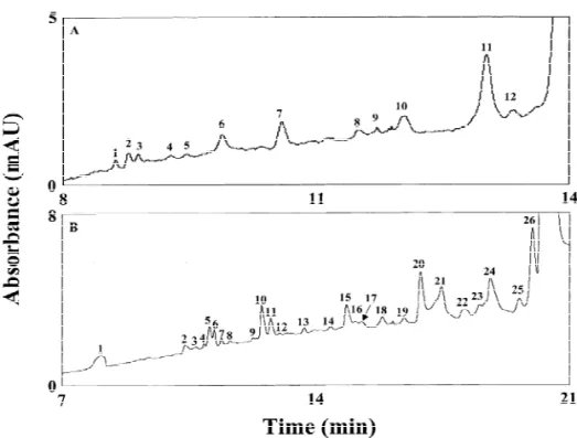 Fig. 6. Electropherograms of peptides from b-Cas at 20 kV. Peptic and tryptic digests in (A) and (B), respectively