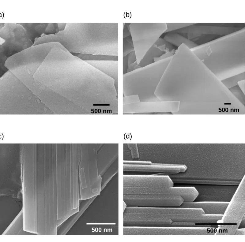 Figure 1. SEM images of the calcium phosphate precipitate collected at different  reaction times