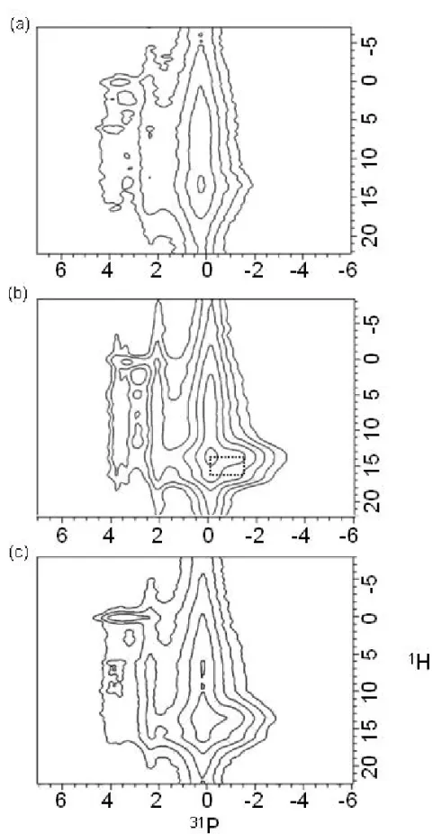 Figure 5. 31 P{ 1 H} HETCOR spectra measured for samples (a) 1.5-h; (b) 3-h; (c) 5-h.