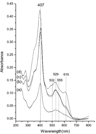 Figure 2. UV-vis spectra of the following solution mixtures: (a) solution of 40 µM cyt c in pH ) 7.5 KH 2 PO 4 -NaOH buffer, (b) 5 mL of solution (a) with 0.01 g MAS-9 added, (c) solids filtered from b then mixed in 20% CH 3 CN and stirred for 1 day, (d) s