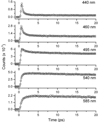 Figure 4. Time-resolved sum frequency signal of fluorescence and gate pulse (800 nm) for Ib in acetonitrile