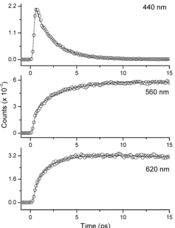 Figure 6. Time-resolved sum frequency signal of fluorescence and gate pulse (800 nm) for Ia in cyclohexane