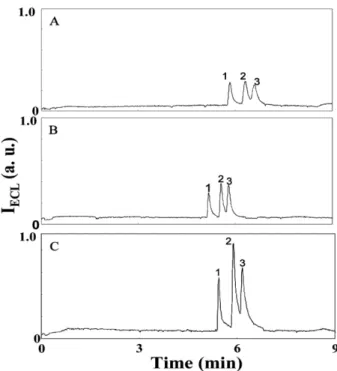 Figure 2. Electropherograms of three amines. Sample solutions were prepared in (A) 10.0 m M (pH 2.8), (B) 1.0 m M (pH 3.2), and (C) 0.1 m M (pH 4.0) CAS solutions.