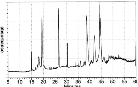 Fig. 2. CE–UV electropherogram of Chinese medicine possibly contaminated with coptisine, berberine and palmatine