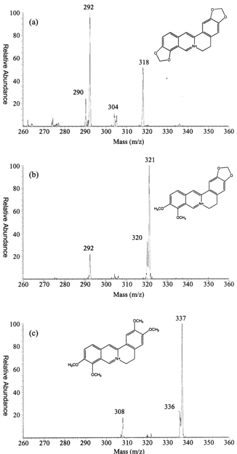 Fig. 5. ESI-MS–MS spectra of (a) coptisine, (b) berberine and (c) palmatine.