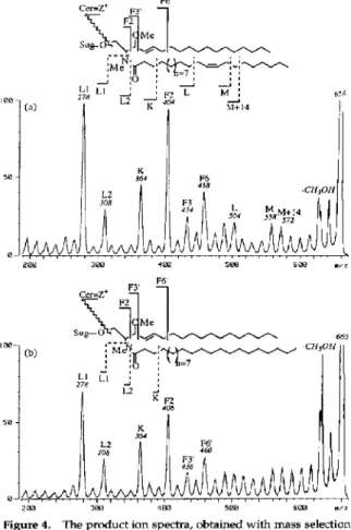 Figure  4.  The  product  ion  spectra,  obtained  with  mass  selection  followed  by  ion  kinetic  energy  analysis  of  the  ceramide frag-  ments from  the permethyleted glucocerebrosides