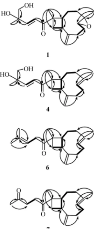 Fig. 2. Key NOESY Correlations of 1 and 4