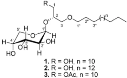 Fig. 1. Structures of Metabolites 1—3 Fig. 2. Selective  1 H– 1 H COSY and HMBC Correlations of 1