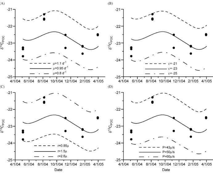 Fig. 12. Comparison between observed data and modeled time-series curves of the d 13 C POC value from the top 20 m at the SEATS Station on the ﬁve cruises