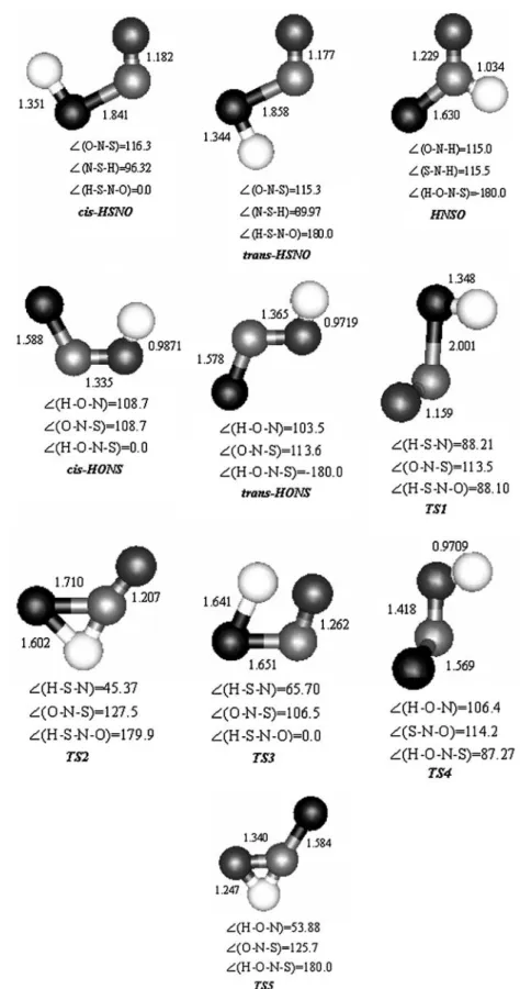 Fig. 1 Structures and relative energetics of various HSNO isomers and the