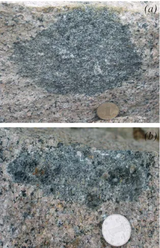 Fig. 2. Examples (a and b) of mafic microgranular enclaves (MMEs) occurring within A-type granites in the Qianshan pluton
