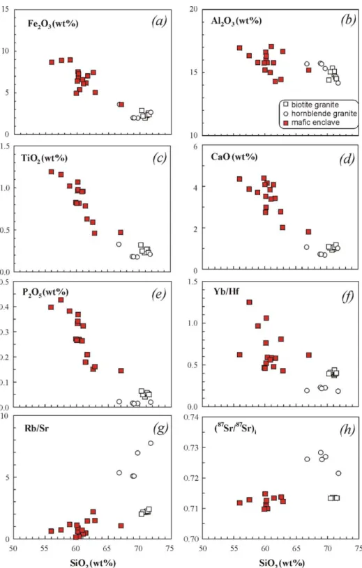 Fig. 4. Various oxide plots [(a), Fe 2 O 3 , (b), Al 2 O 3 , (c), TiO 2 , (d), CaO and (e), P 2 O 5 (all expressed in wt.%)], trace element plots [(f), Yb / Hf and (g), Rb / Sr] and isotopic ratios [(h) ( 87 Sr / 86 Sr) i ] vs