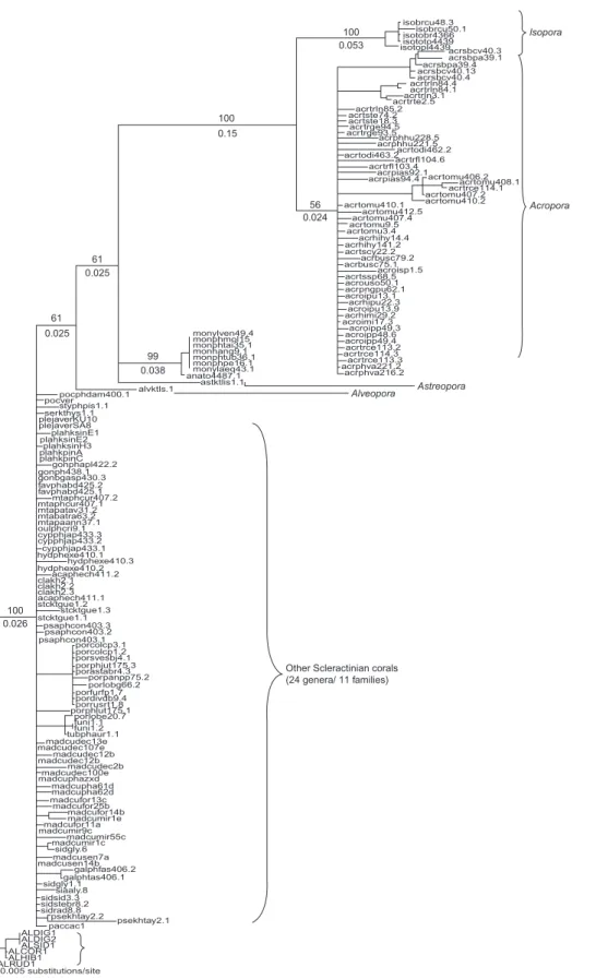 Fig. 4. Phylogenetic analysis derived from the Neighbor-joining (NJ) algorithms of scleractinian 5.8S rDNA