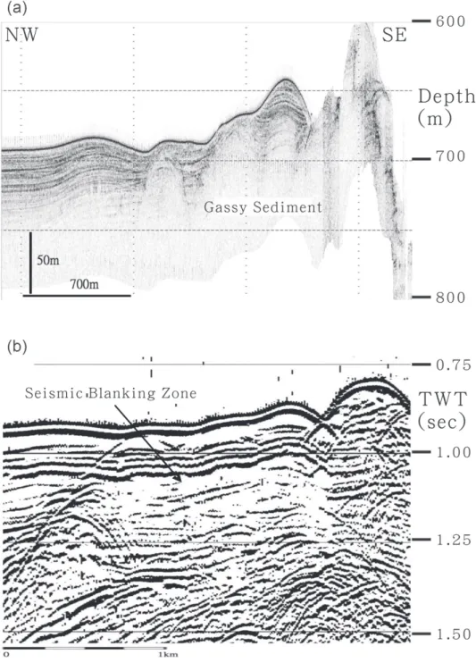 Fig. 4. Gassy sediment profiles of OR1-647 near the Kaoping Canyon, (a) chirp sonar image and (b) corresponding seismic reflection profile.