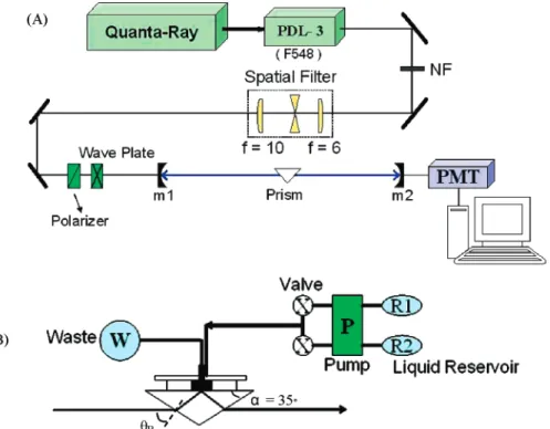 Figure 1. (a) Schematic diagram of the apparatus setup for evanescent wave cavity ring-down absorption spectroscopy
