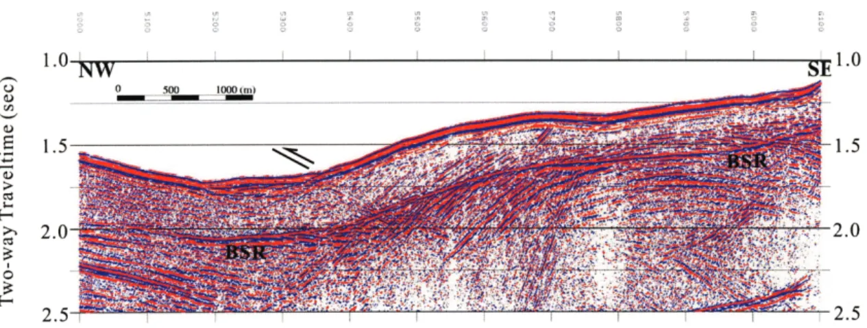 Figure 6b also reveals that few BSRs are present along submarine canyons and steep fault scarps
