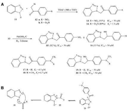 Figure 6. A Modeling Complex of SARS 3CL pro and Benzotriazole Esters