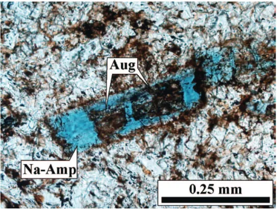Fig. 6. Photomicrograph of boudinaged augitic (Aug) relics within a sodic-amphibole (Na-Amp) crystal in IM-19, the foliated margin of a meta-gabbro/leucogabbro