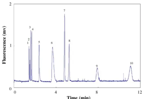 Fig. 3. Separation of 10 biologically active amines and acids in 10.0 mM FT solution (pH 4.0) at 15 kV by CE-LINF in the presence of EOF