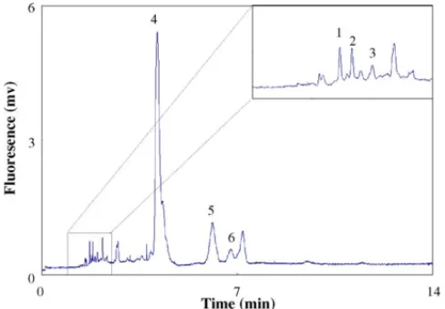Fig. 4 shows one representative electropherogram. Several peaks including TA, 5-HT, E, Trp, 5-HIAA, and HVA were  identi-fied