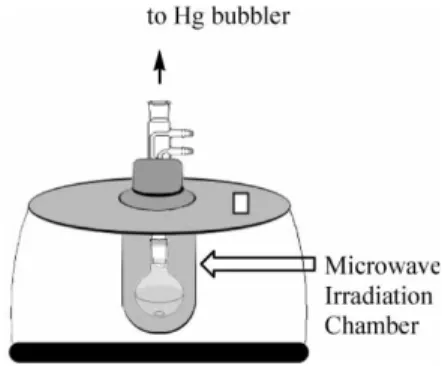 Figure 1. Microwave-assisted heating apparatus.