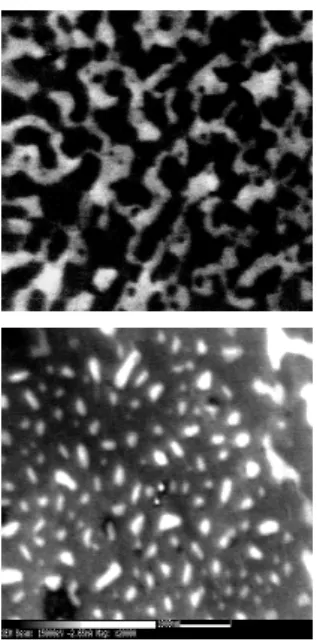 Figure 10. SEM images taken after the 7-nm Ni/native oxide/Si surfaces were thermally treated in the hydrogen environment  of 10-torr pressure for 30 min at 700 C (top) and at 850 C (bottom).