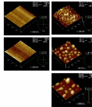 Figure 4. AFM images obtained from (left top) the SiO2/Si surface, (left middle) the 7-nm NI/SiO2/Si surface, and (right  from top) SiO2/Si surfaces covered by 2nm, 7nm, and 20 nm Ni films followed by annealing at 700 C for 30 min