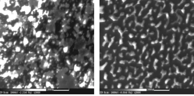 Figure 5. SEM and SAM images taken from the 20-nm Ni/SiO2/Si surface. 
