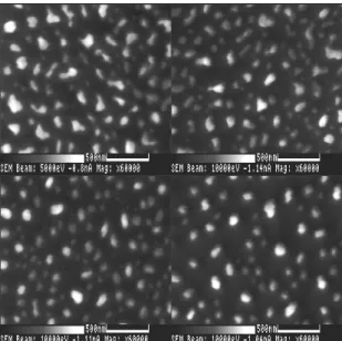 Figure 6. SEM images taken after the 20-nm Ni/SiO2/Si surfaces were thermally treated in the hydrogen environment of  10-torr pressure at 550 C (top left), 650 C (top right), 750 C (bottom left) and 850 C (bottom right) for 30 min