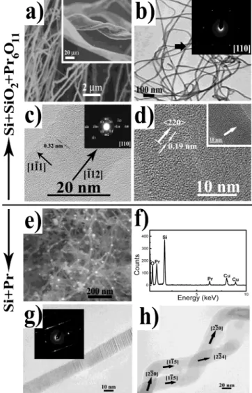 Figure 5. Schematic for the growth models of metal- and SiO 2 -catalytic SiNWs.