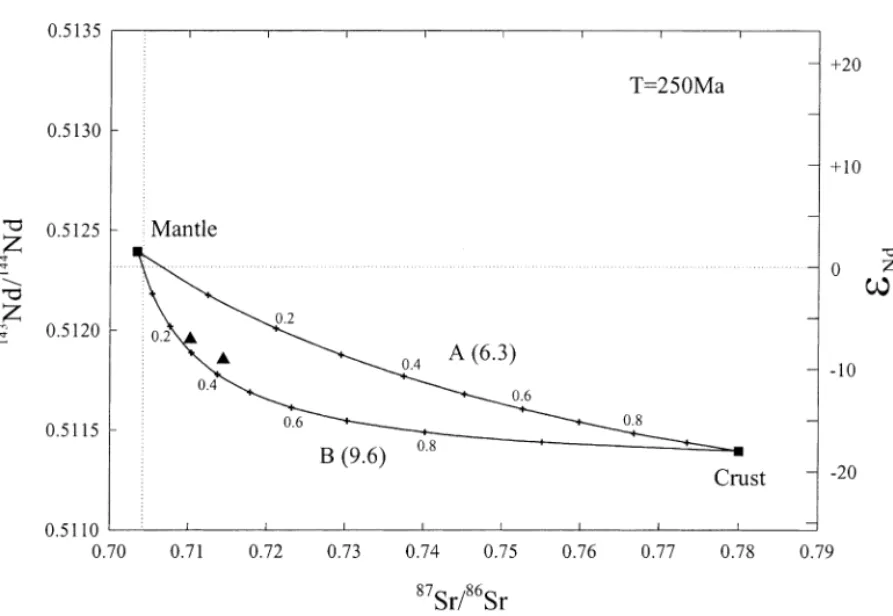 Fig. 9. Initial Nd and Sr isotopic composition for charnockites of the Kontum massif, central Vietnam at 250 Ma