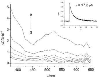 Figure 5. Temporal evolution of transient absorption spectra for complex 3 at a delay time of (a) 0.36, (b) 6, (c) 11.7, (d) 17.4, (e) 28.8, and (f) 40 µs in degassed CH 3 CN;