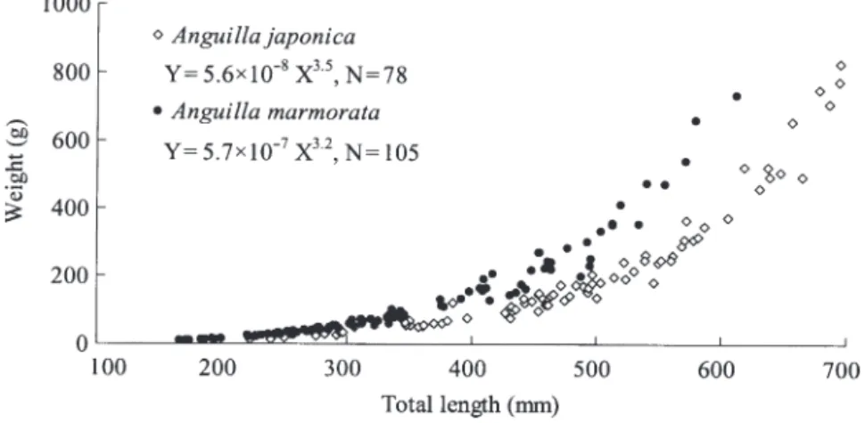 Fig. 3. Anguilla japonica and A. marmorata. Length–weight  relationships 