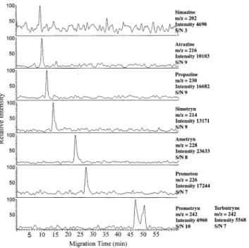 Figure 7. Mass electropherograms of triazine herbicides, 20 ppm (dissolved in H 2 O), using a conventional sheath liquid interface