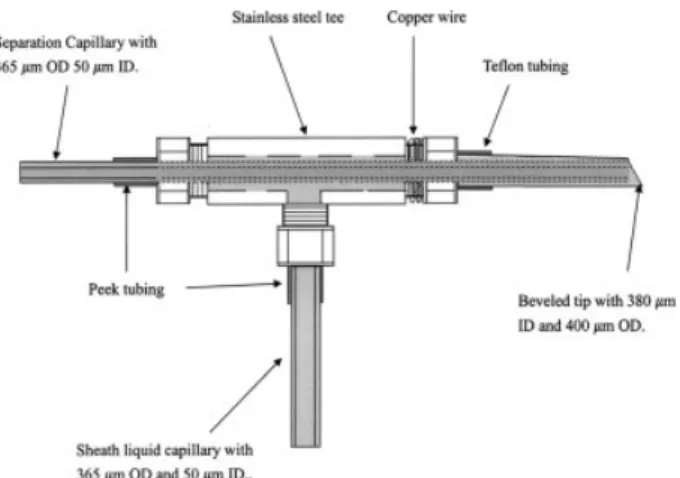 Figure 1 is a schematic illustration of the low-flow inter- inter-face. The beveled tapered tip was fabricated using a 530 mm ID and 690 mm OD capillary (Restek, USA)