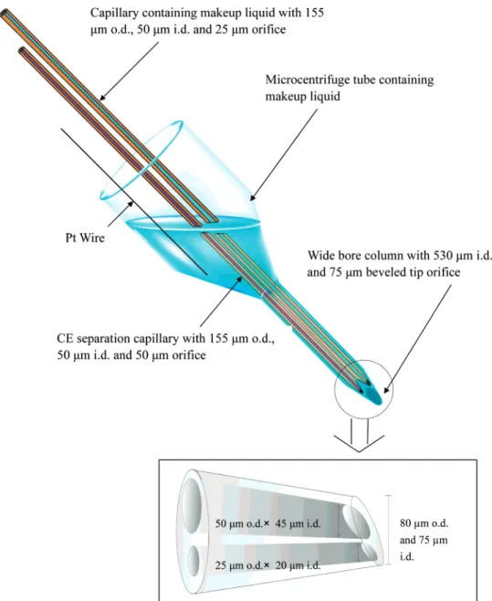 Figure 1. Schematic representation of the low-makeup beveled tip CE/ESI-MS interface.