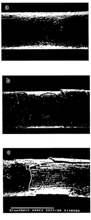 Fig.  8.  The  SEIVl observations  of  80  gm  ¢  fine  TiNi  wires  after  interannealing at  (a)  550  °C x  10 min,  (b)  550  °C x  70  min,  and  (c)  700  °C x  i0  min respectively