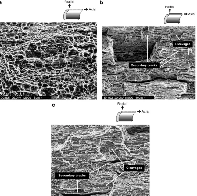 Fig. 10 illustrates the fractographic features of the specimens tested at room temperature.