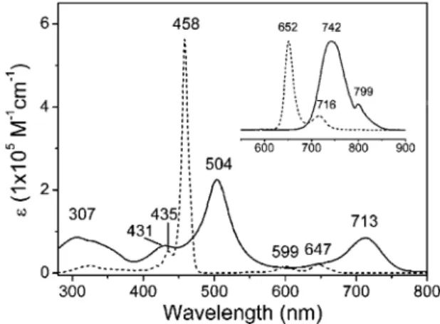 Figure 2. The cyclic voltammograms of 1 and 4 in THF containing 0.1 M TBAPF 6 . Dashed lines show narrower scanned ranges.