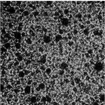 Fig. 1. The PIV image of the flow in front of a moving turbine blade