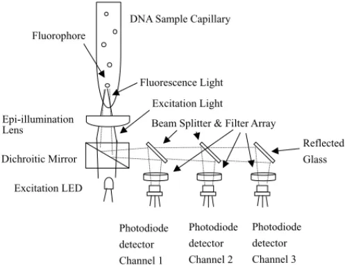 Fig. 3. A schematic view of fluorescence sensing system of commercial RT-PCR machine.