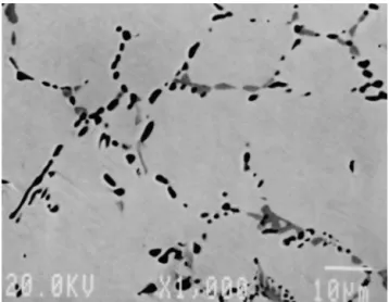 Fig. 2 shows the EPMA backscattering electron image Fig. 2. EPMA backscattering electron image of as-homogenized