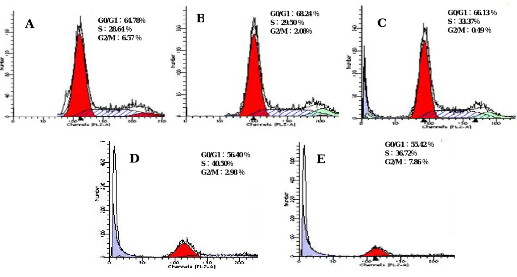 Figure 10. Effects of various concentrations of FFMA from FIRDI on the cell cycle of Hep 3B cells