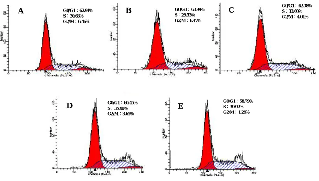Figure 12. Effects of various concentrations of EFMA from our lab on the cell cycle of Hep 3B cells