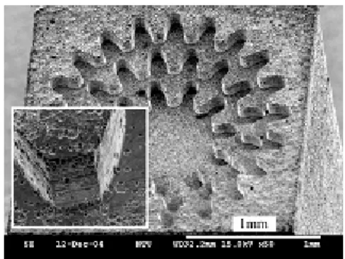 圖 30 中，微模具的底部平坦度高低差距達 5µm，可能的原因是選用黃銅材料的純度不